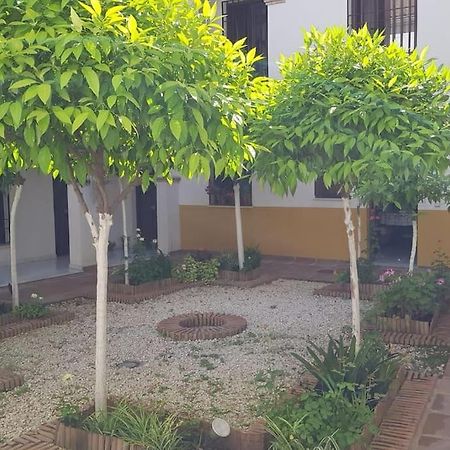 Precioso Apartamento Junto A Plaza La Corredera Cordoba Exterior photo